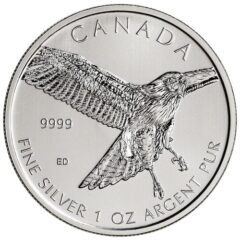 2015 1 oz Silver Red-Tailed Hawk - RCM Birds of Prey Series