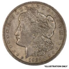 1921 Morgan Silver Dollars - VG