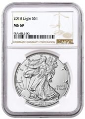 2018 NGC MS-69 American Silver Eagle Coin (Brown Label)