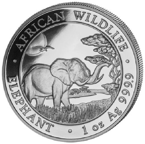 2019 1 Oz Somalian Elephant Silver Coin Reverse