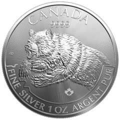 2019 1 oz Silver Grizzly Coin - RCM Predator Series Fourth Release