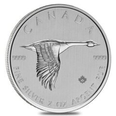 2020 2 oz Canadian Goose Silver Coin