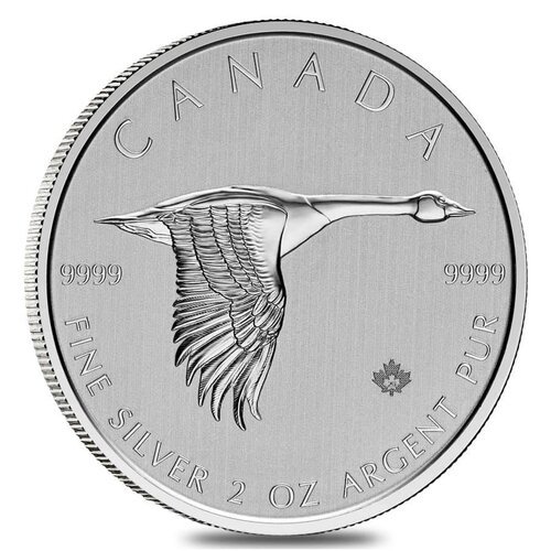 2020 2 Oz Canadian Goose Silver Coin Obverse