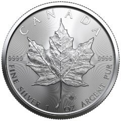 2022 1 oz Silver Maple Leaf Coin