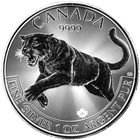 SDB SilverCougar