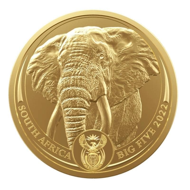Gsa22elephant 1 Canva 800 800px Min 1