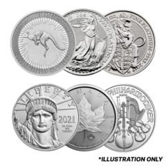 1 oz Platinum Coins - Design Our Choice