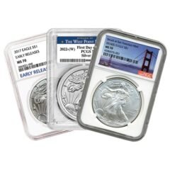 Random US Silver Eagle NGC/PCGS MS-70 Coin