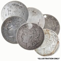 Morgan or Peace Dollar Silver Coin (Damaged/Worse than Cull) - Random Year