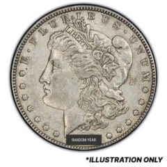 Pre-1921 Morgan Dollar Silver Coin XF