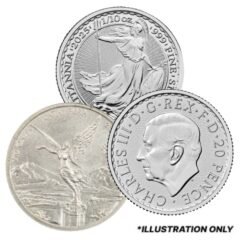 1/10 oz Silver Coin - Design Our Choice