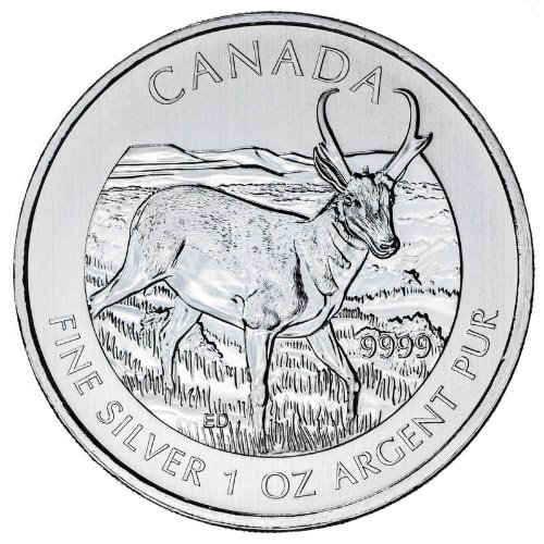 Src13antelope 1 2013 1 Oz Rc Silver Pronghorn Antelope Reverse