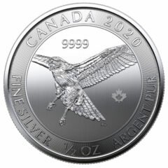 2020 1/2 oz Canadian Birds of Prey Series - Red-Tailed Hawk Silver Coin