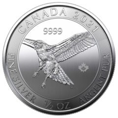 2021 1/2 oz Red Tailed Hawk Silver Coin - Birds of Prey Series