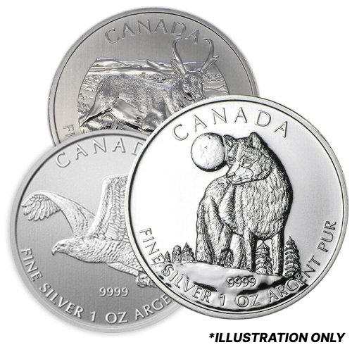Srccoin 1 1 Oz Royal Canadian Mint Silver Coins Random Design