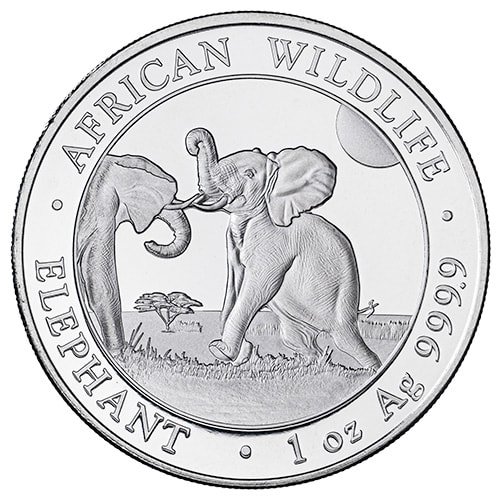 Sso24elephant 1 2024 Silver Somalia Elephant 1 Oz Coin Obverse