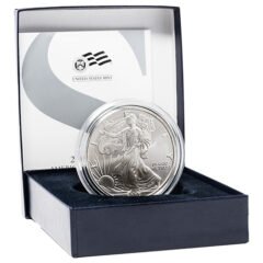 2007-W 1 oz American Silver Eagle Burnished Coin