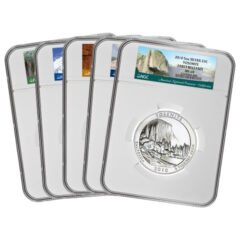 2010 NGC MS-69 Early Releases 5 oz Silver ATB America The Beautiful 5-Coin Set